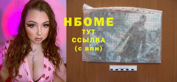 сатива Коряжма