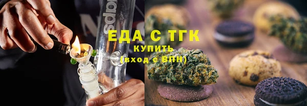 сатива Коряжма