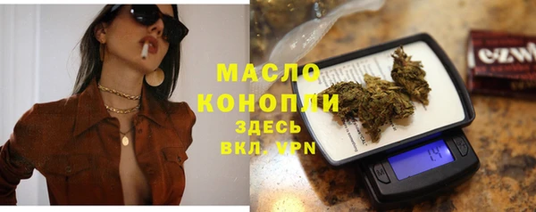 сатива Коряжма