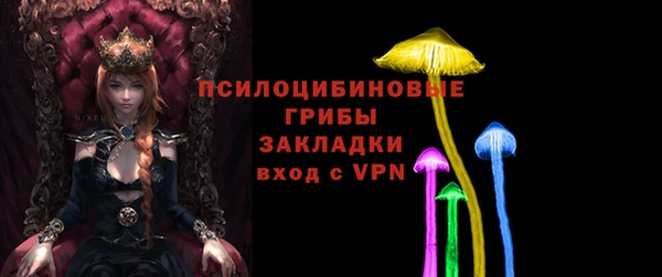 сатива Коряжма
