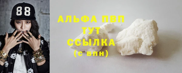 сатива Коряжма