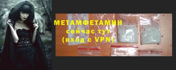сатива Коряжма