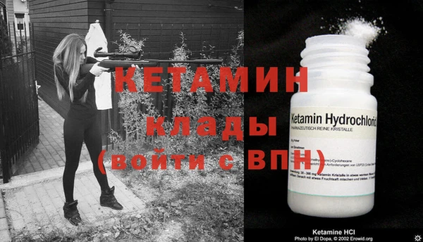 сатива Коряжма