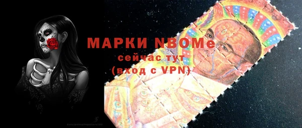 сатива Коряжма