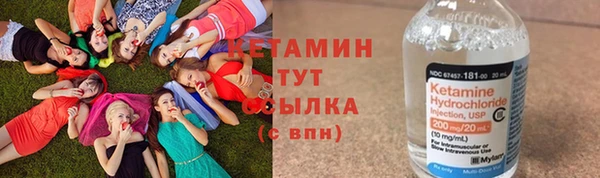 сатива Коряжма