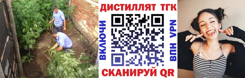 Купить  Великий Устюг  ТГК THC oil 