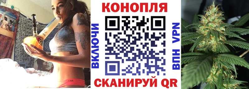 Купить закладки  Великий Устюг  Марихуана Ganja 